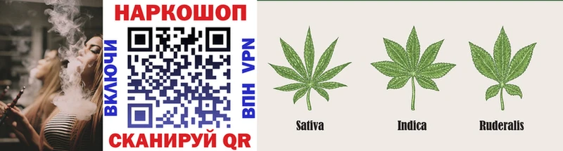 Как найти наркотики Кириши Cocaine  Галлюциногенные грибы  Кодеин  Мефедрон  Alpha PVP  мега зеркало  ГАШИШ 