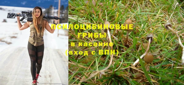 спиды Новокубанск
