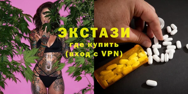 шишки Таштагол