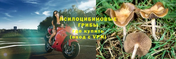 спиды Нязепетровск