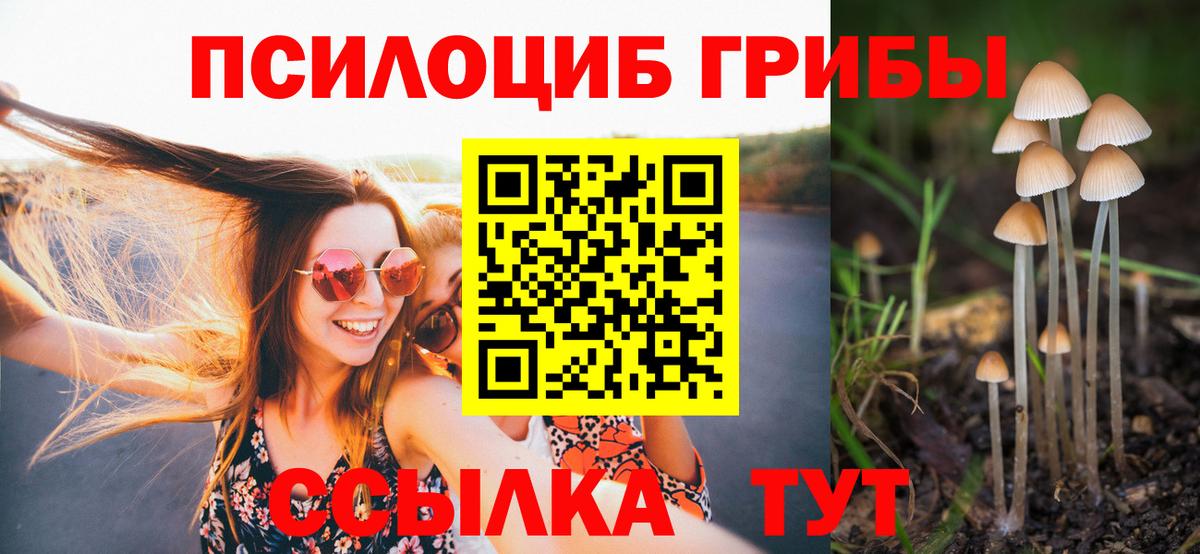 Кириши  Псилоцибиновые грибы Cubensis  Вход с VPN 