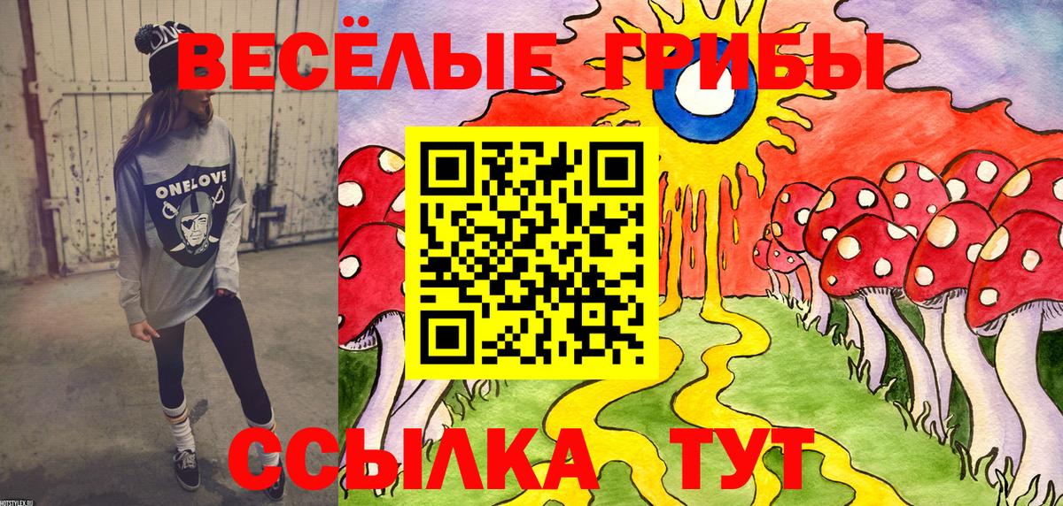 Галлюциногенные грибы GOLDEN TEACHER Кириши